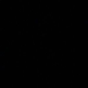 Meet your Posher, Jaylen